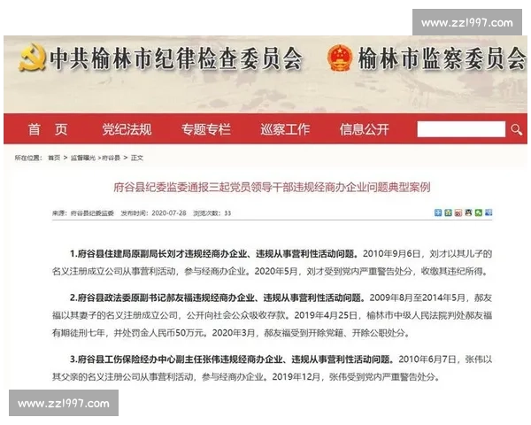 《关于某企业因违规行为被处罚的结果及其后续影响分析》