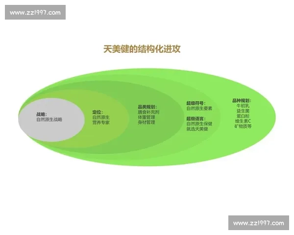 聚焦体育行业代理创新发展与市场拓展及品牌价值提升路径战略研究